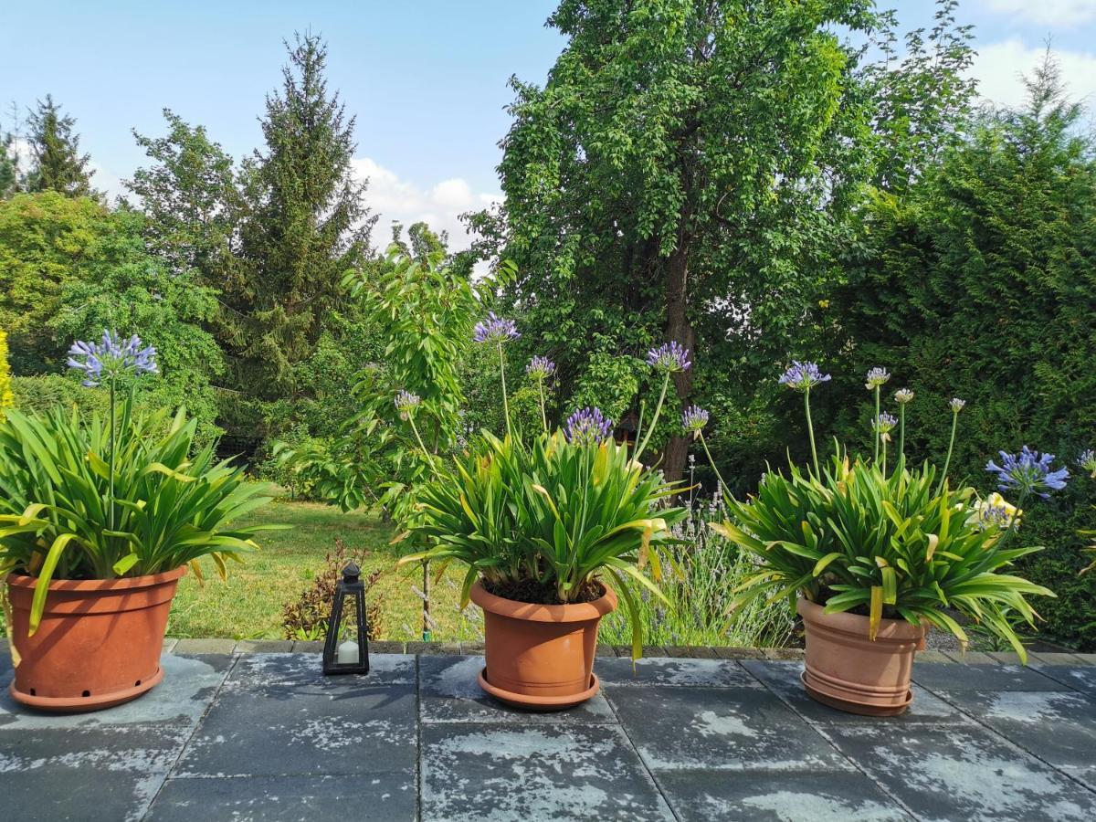 Ferienhaus Appold แวร์นิกโกโรเดอ ภายนอก รูปภาพ